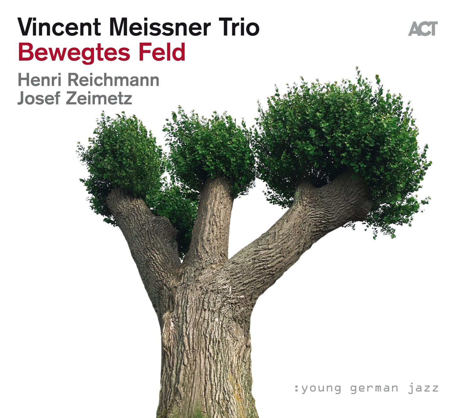 Vincent Meissner Bewegtes Feld - CD